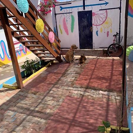 Dahab Tribe Guest House エクステリア 写真