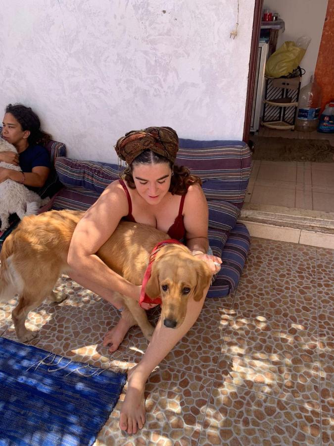Dahab Tribe Guest House エクステリア 写真