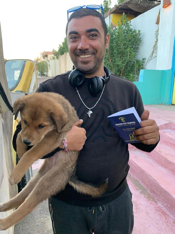 Dahab Tribe Guest House エクステリア 写真