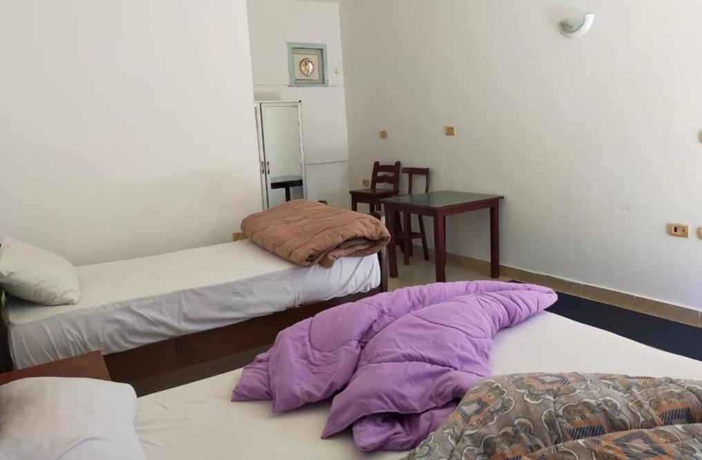Dahab Tribe Guest House エクステリア 写真